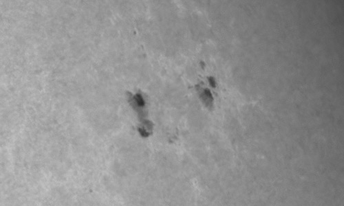 2023年8月14日の黒点（活動領域13395）