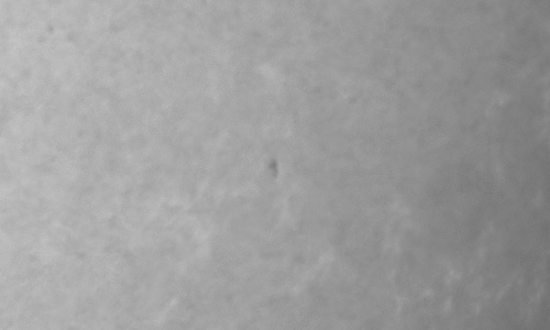 2023年8月14日の黒点（活動領域13402）