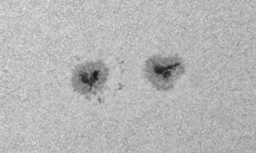 2023年8月19日の黒点（活動領域13407）