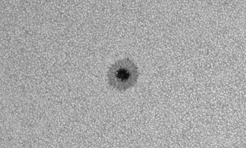 2023年8月23日の黒点（活動領域13412）