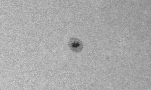 2023年8月25日の黒点（活動領域13411）