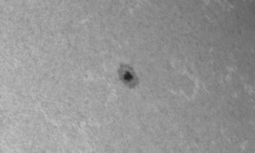 2023年8月26日の黒点（活動領域13411）