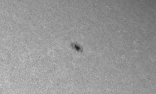 2023年8月29日の黒点（活動領域13412）