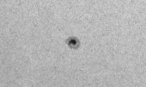 2023年8月29日の黒点（活動領域13416）