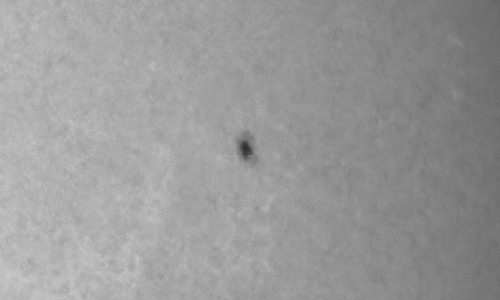 2023年9月7日の黒点（活動領域13417）