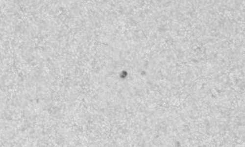 2023年9月7日の黒点（活動領域13422）