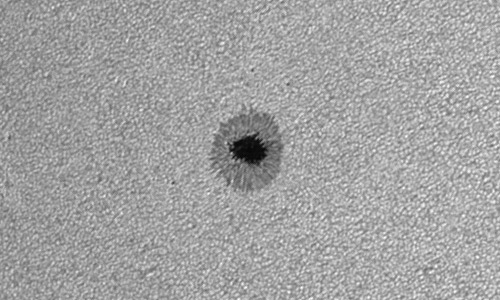 2023年9月15日の黒点（活動領域13433）