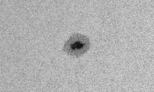 2023年9月16日の黒点（活動領域13433）