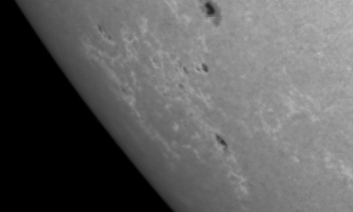 2023年9月20日の黒点（活動領域13445）