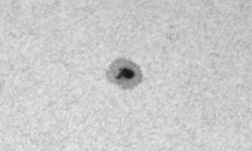 2023年9月20日の黒点（活動領域13433）