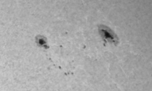 2023年9月22日の黒点（活動領域13437）