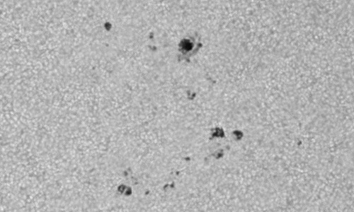 2023年9月22日の黒点（活動領域13441）