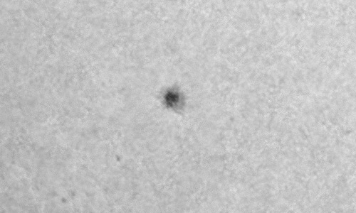 2023年9月22日の黒点（活動領域13442）