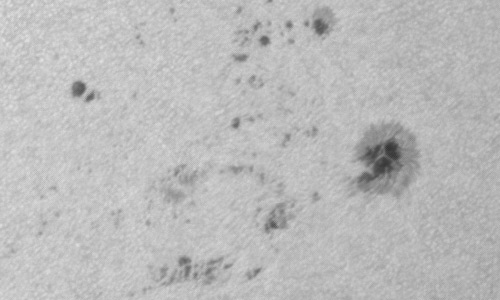 2023年9月27日の黒点（活動領域13445）