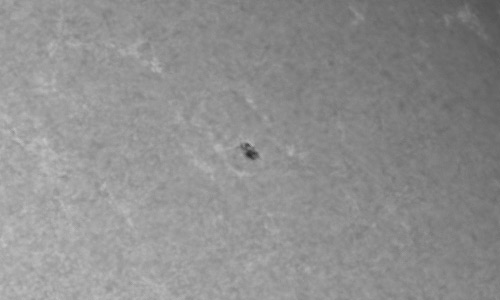 2023年9月29日の黒点（活動領域13440）