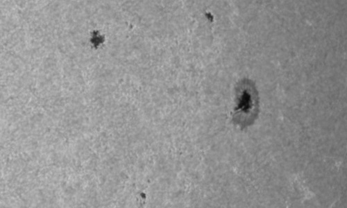 2023年9月29日の黒点（活動領域13445）