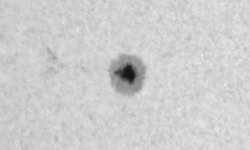 2023年9月30日の黒点（活動領域13448）