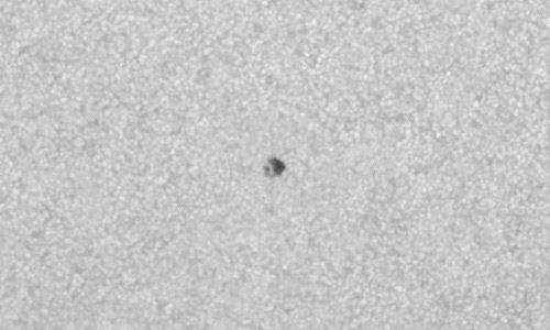 2023年10月9日の黒点（活動領域13457）