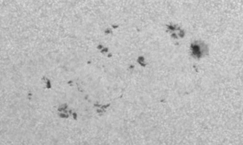 2023年10月9日の黒点（活動領域13460）