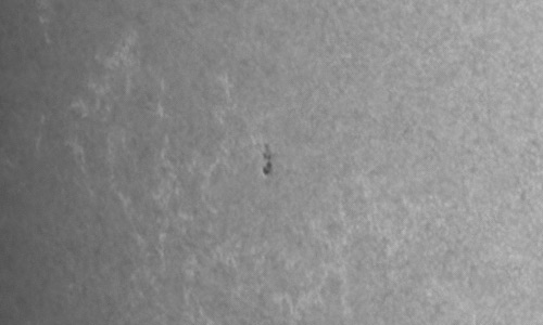 2023年10月9日の黒点（活動領域13462）