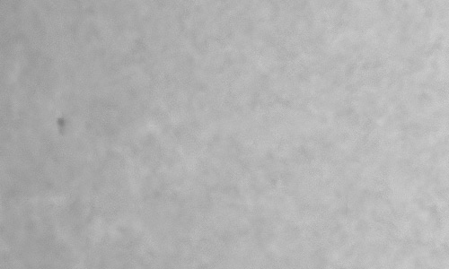 2023年10月10日の黒点（活動領域13462）