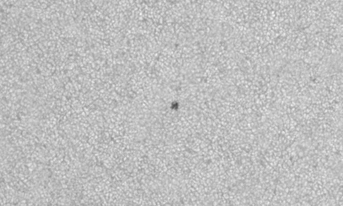 2023年10月11日の黒点（活動領域13461）