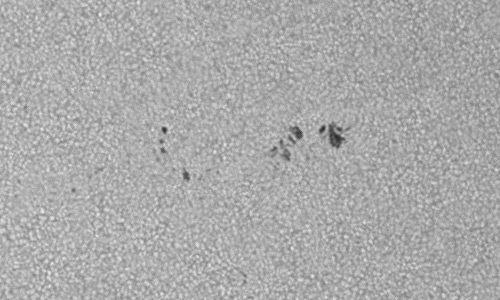 2023年10月14日の黒点（活動領域13466）