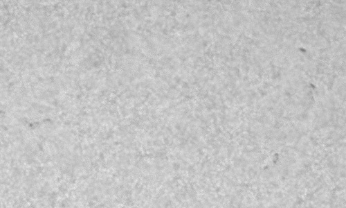 2023年10月25日の黒点（活動領域13470）