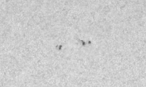 2023年11月9の黒点（活動領域13481）