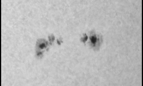 2023年11月15の黒点（活動領域13486）