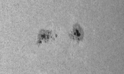 2023年11月16の黒点（活動領域13486）