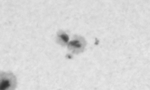 2023年11月25日の黒点（活動領域13490）