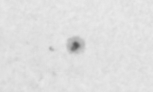 2023年11月25日の黒点（活動領域13493）