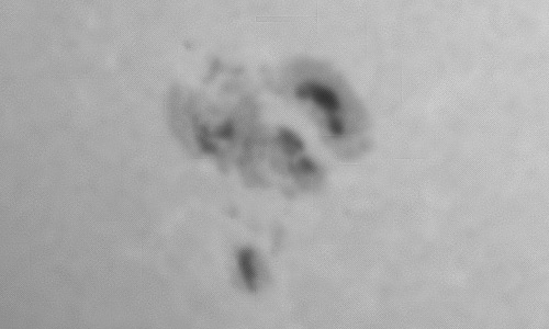 2023年11月25日の黒点（活動領域13500）