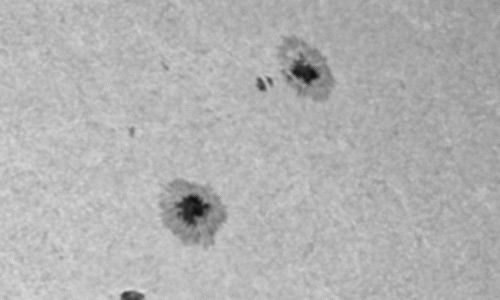 2023年11月29日の黒点（活動領域13492）