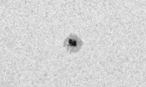 2023年11月29日の黒点（活動領域13501）