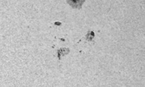 2023年11月29日の黒点（活動領域13502）