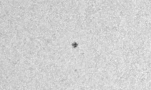 2023年11月29日の黒点（活動領域13503）