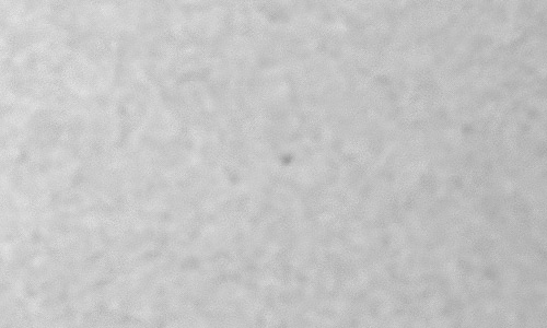 2023年12月22日の黒点（活動領域13532）