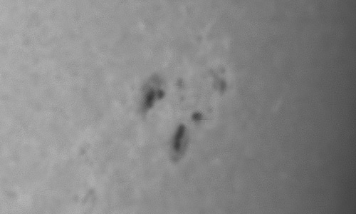 2023年12月21日の黒点（活動領域13519）