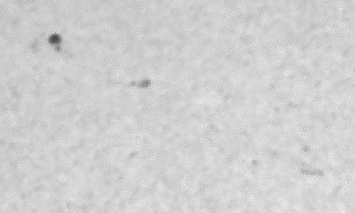 2023年12月21日の黒点（活動領域13523）