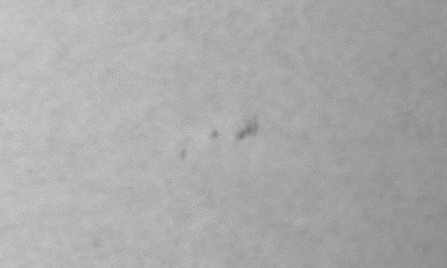 2023年12月22日の黒点（活動領域13532）