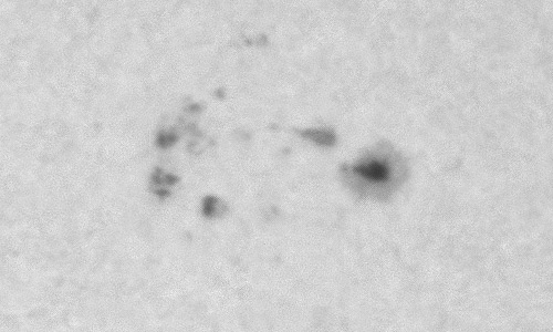 2023年12月22日の黒点（活動領域13521）