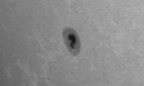 2023年12月22日の黒点（活動領域13531）