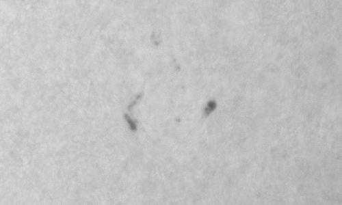 2024年1月4日の黒点（活動領域13534）