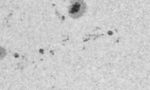 2024年1月11日の黒点（活動領域13541）