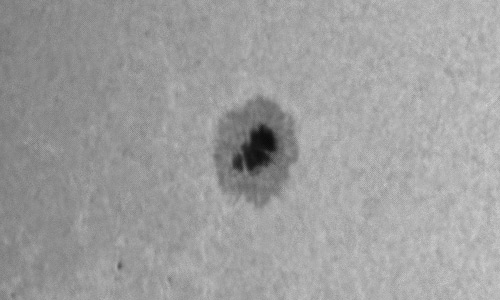 2024年1月11日の黒点（活動領域13545）