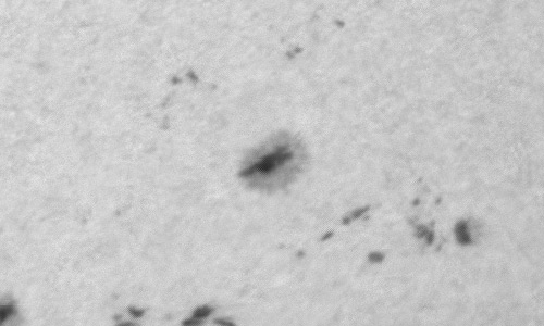 2024年1月13日の黒点（活動領域13540）