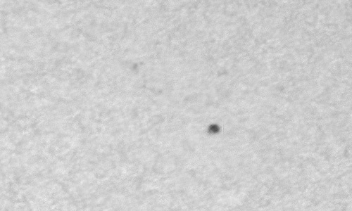 2024年1月13日の黒点（活動領域13544）