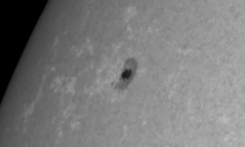 2024年1月17日の黒点（活動領域13556）